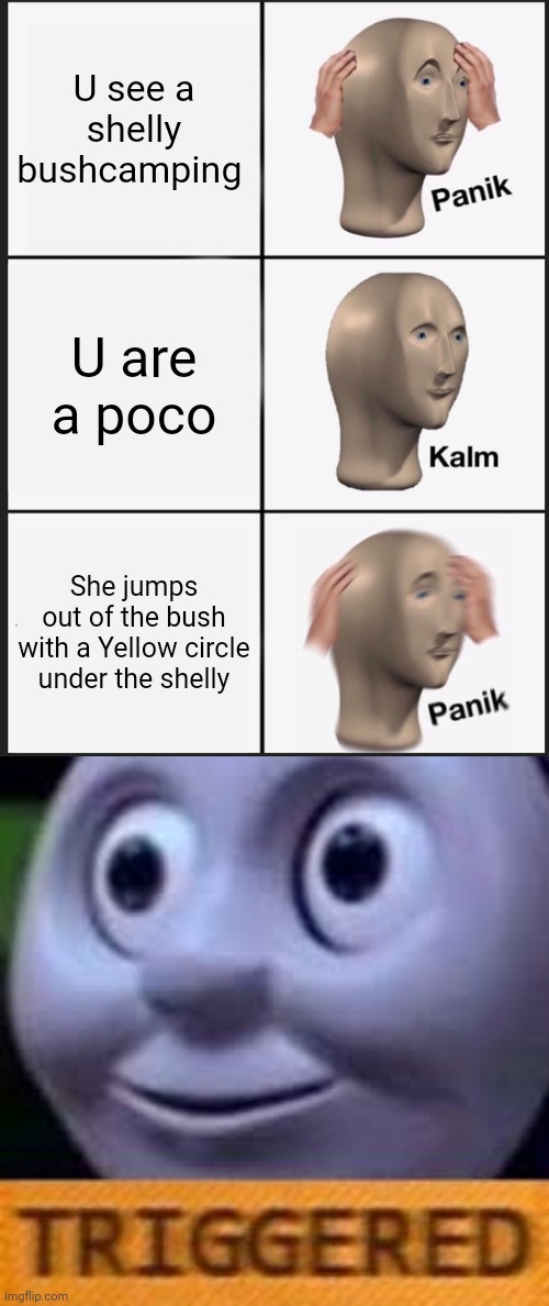 U see a shelly bushcamping; U are a poco; She jumps out of the bush with a Yellow circle under the shelly | image tagged in memes,panik kalm panik,when you get triggerd twice | made w/ Imgflip meme maker