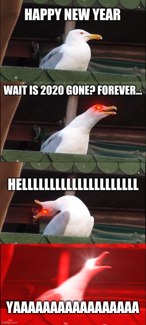 Inhaling Seagull | HAPPY NEW YEAR; WAIT IS 2020 GONE? FOREVER... HELLLLLLLLLLLLLLLLLLLLL; YAAAAAAAAAAAAAAAAA | image tagged in memes,inhaling seagull | made w/ Imgflip meme maker