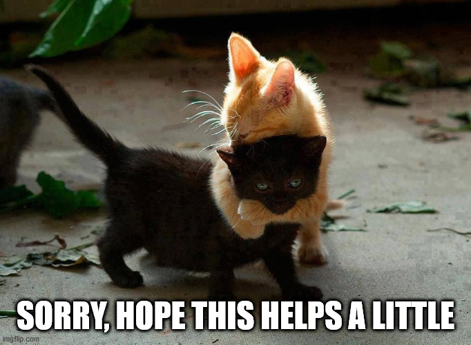 kitten hug | SORRY, HOPE THIS HELPS A LITTLE | image tagged in kitten hug | made w/ Imgflip meme maker
