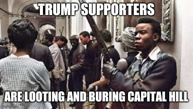Trump | TRUMP SUPPORTERS; ARE LOOTING AND BURING CAPITAL HILL | image tagged in trump supporters | made w/ Imgflip meme maker