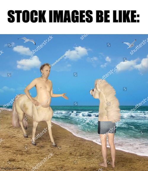 What the heck | STOCK IMAGES BE LIKE: | image tagged in stock images,be lke | made w/ Imgflip meme maker