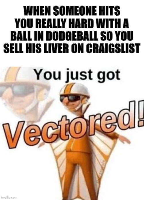 You just got VECTORED! on Craigslist | WHEN SOMEONE HITS YOU REALLY HARD WITH A BALL IN DODGEBALL SO YOU SELL HIS LIVER ON CRAIGSLIST | image tagged in you just got vectored,craigslist,dodgeball,vector,kidney | made w/ Imgflip meme maker