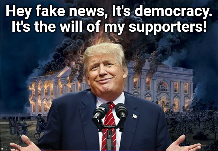 The will of the People | Hey fake news, It's democracy. It's the will of my supporters! | image tagged in donald trump,trump,whitehouse,senate,stable genius,stupid trump | made w/ Imgflip meme maker