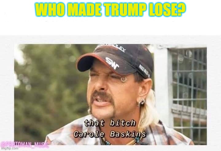 Who made Trump lose | WHO MADE TRUMP LOSE? | image tagged in that bitch carol baskins | made w/ Imgflip meme maker