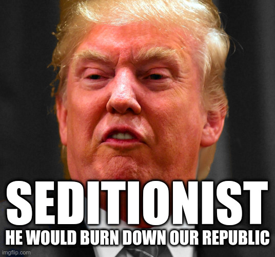 Trump the Seditionist | SEDITIONIST; HE WOULD BURN DOWN OUR REPUBLIC | image tagged in trump,sedition | made w/ Imgflip meme maker
