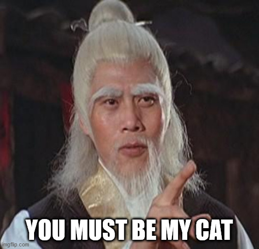 Wise Kung Fu Master | YOU MUST BE MY CAT | image tagged in wise kung fu master | made w/ Imgflip meme maker
