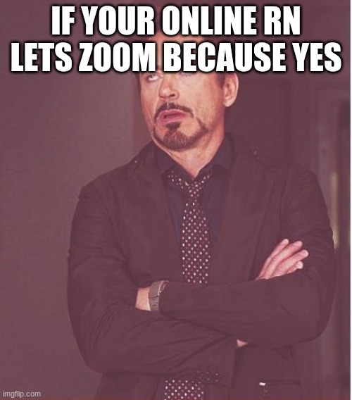 did not care about template | IF YOUR ONLINE RN LETS ZOOM BECAUSE YES | image tagged in memes,face you make robert downey jr | made w/ Imgflip meme maker