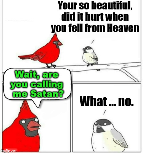 What ... no. ....... | image tagged in comics/cartoons | made w/ Imgflip meme maker