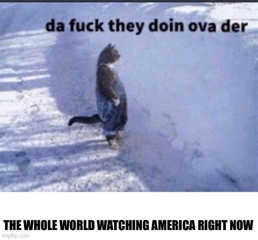 And these were the guys who broke away from England and could make a new country | THE WHOLE WORLD WATCHING AMERICA RIGHT NOW | image tagged in da fuq | made w/ Imgflip meme maker