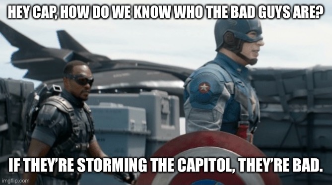 Bad guys | HEY CAP, HOW DO WE KNOW WHO THE BAD GUYS ARE? IF THEY’RE STORMING THE CAPITOL, THEY’RE BAD. | image tagged in captain america,falcon | made w/ Imgflip meme maker