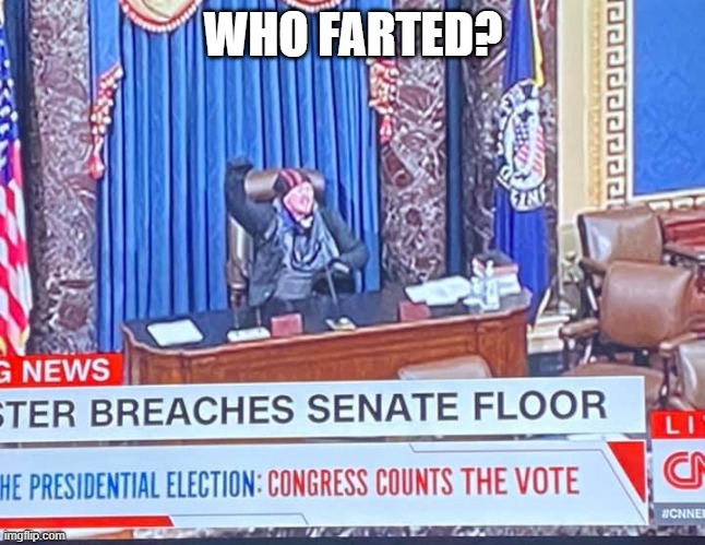 Who Farted | WHO FARTED? | image tagged in communism and capitalism | made w/ Imgflip meme maker