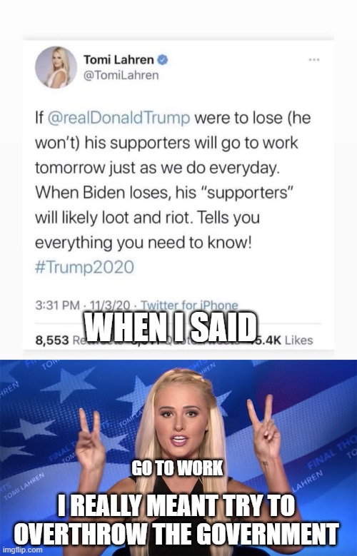 Tomi Two Face | WHEN I SAID; GO TO WORK; I REALLY MEANT TRY TO OVERTHROW THE GOVERNMENT | made w/ Imgflip meme maker