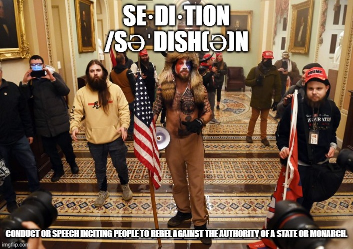 Sedition | SE·DI·TION
/SƏˈDISH(Ə)N; CONDUCT OR SPEECH INCITING PEOPLE TO REBEL AGAINST THE AUTHORITY OF A STATE OR MONARCH. | image tagged in trump sedition | made w/ Imgflip meme maker