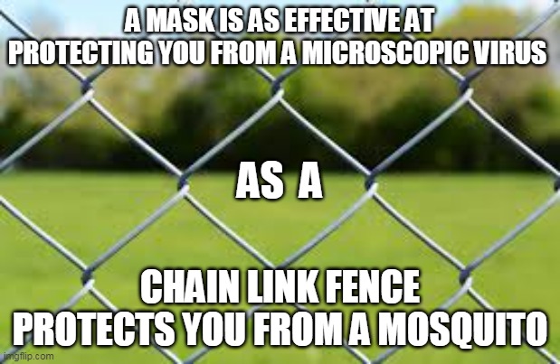 Absurdity of wearing a mask | A MASK IS AS EFFECTIVE AT PROTECTING YOU FROM A MICROSCOPIC VIRUS; AS  A; CHAIN LINK FENCE PROTECTS YOU FROM A MOSQUITO | image tagged in coronavirus | made w/ Imgflip meme maker