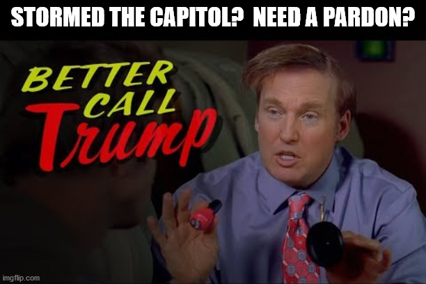 better call trump | STORMED THE CAPITOL?  NEED A PARDON? | image tagged in trump,congress,us capitol,protests | made w/ Imgflip meme maker