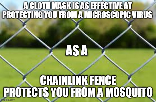 Coronavirus absurdity | A CLOTH MASK IS AS EFFECTIVE AT PROTECTING YOU FROM A MICROSCOPIC VIRUS; AS A; CHAINLINK FENCE PROTECTS YOU FROM A MOSQUITO | image tagged in coronavirus | made w/ Imgflip meme maker