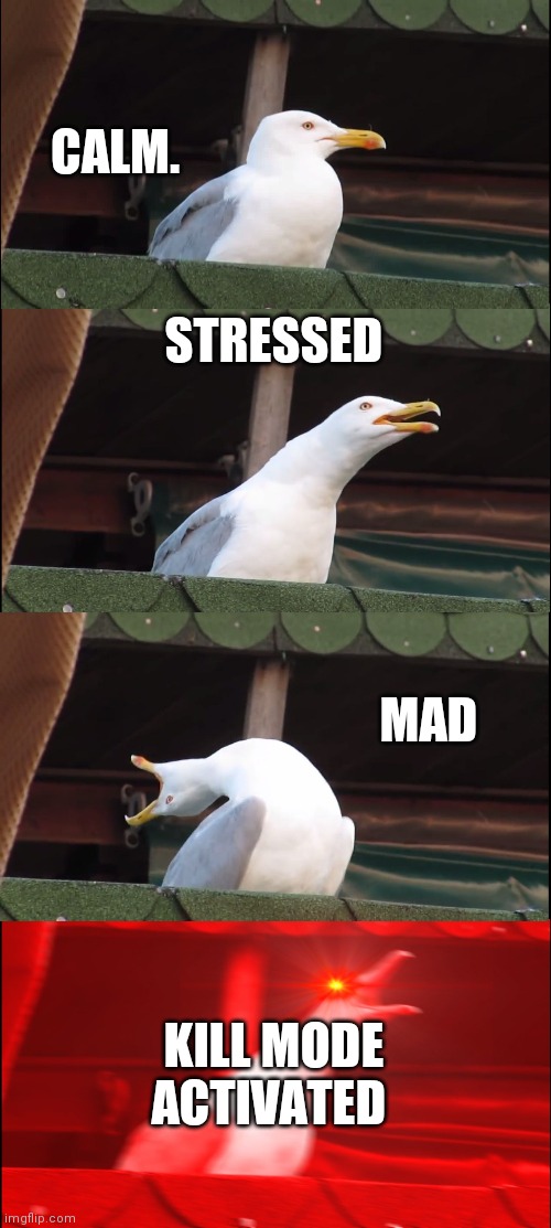 Inhaling Seagull | CALM. STRESSED; MAD; KILL MODE ACTIVATED | image tagged in memes,inhaling seagull | made w/ Imgflip meme maker