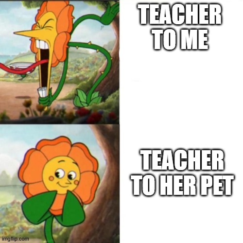Sunflower | TEACHER TO ME; TEACHER TO HER PET | image tagged in sunflower | made w/ Imgflip meme maker
