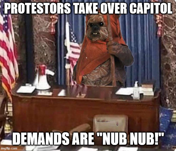 Actually, the Ewoks had a real reason to  rebel | PROTESTORS TAKE OVER CAPITOL; DEMANDS ARE "NUB NUB!" | image tagged in ewoks,trump supporters,congress,dc riots | made w/ Imgflip meme maker