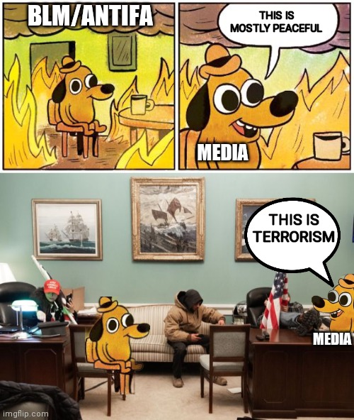Media: We have spoken | THIS IS MOSTLY PEACEFUL; BLM/ANTIFA; MEDIA; THIS IS TERRORISM; MEDIA | image tagged in this is fine blank,election 2020,trump,blm,antifa,capitol hill | made w/ Imgflip meme maker