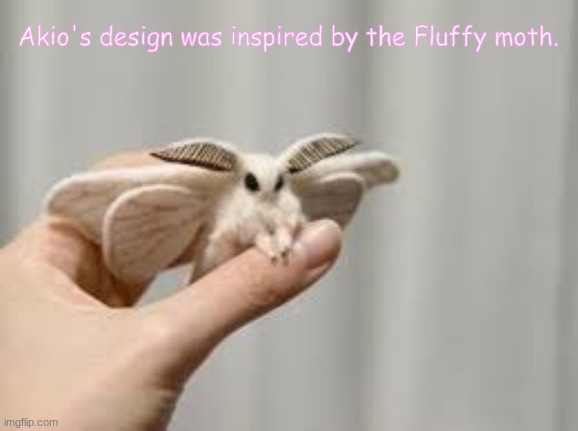 Floofer Facts #1 | Akio's design was inspired by the Fluffy moth. | made w/ Imgflip meme maker