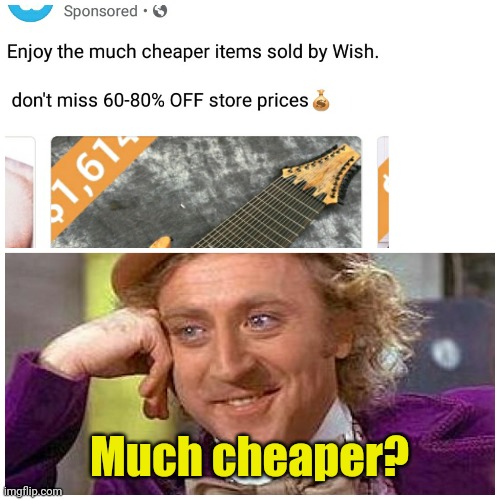 Much cheaper? | Much cheaper? | image tagged in wish,memes | made w/ Imgflip meme maker