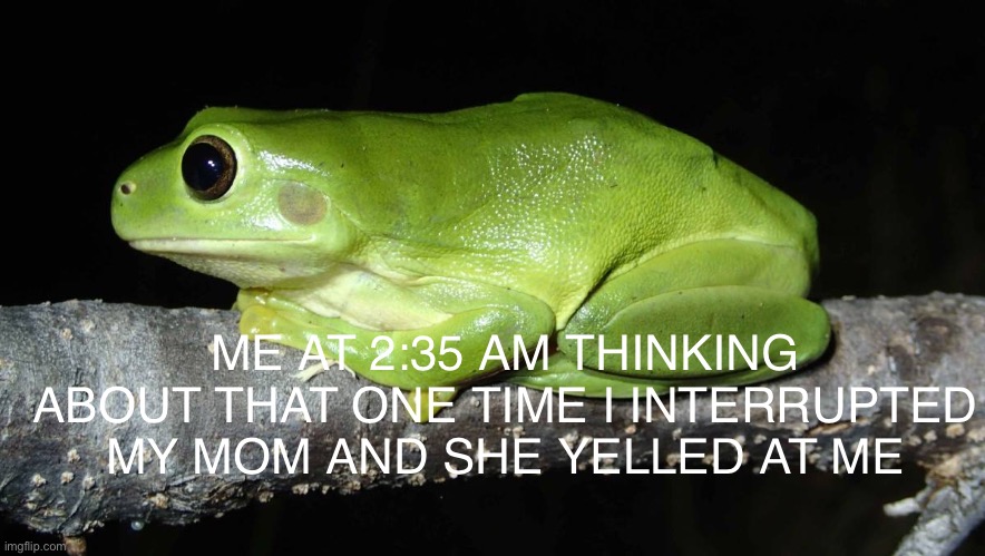 this was made at 2:42 am, no joke | ME AT 2:35 AM THINKING ABOUT THAT ONE TIME I INTERRUPTED MY MOM AND SHE YELLED AT ME | image tagged in frog,mom,embarrassed,contemplating,stop reading the tags | made w/ Imgflip meme maker