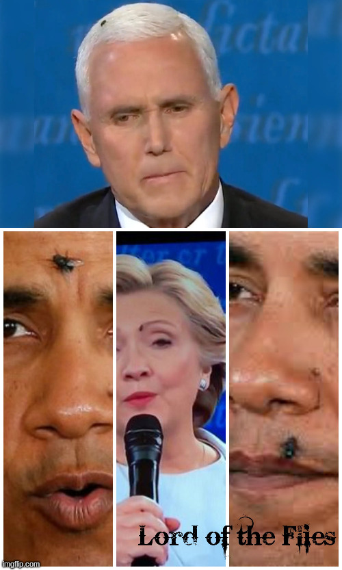 Lords Of The Flies | image tagged in pence fly,obama fly,hillary fly | made w/ Imgflip meme maker