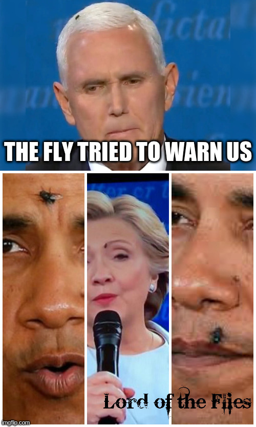 Pence Traitor | THE FLY TRIED TO WARN US | image tagged in pence fly,obama fly,hillary fly | made w/ Imgflip meme maker