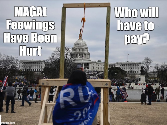 MAGAts Are A Noosance | Who will
have to 
pay? MAGAt
Feewings
Have Been
Hurt | image tagged in noose,capitol,capitol building,maga,trump,capitol grounds | made w/ Imgflip meme maker