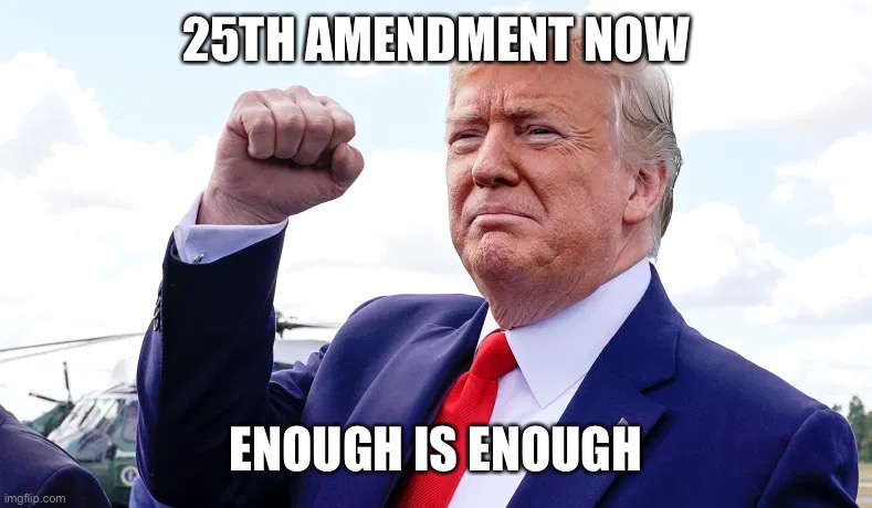 25th amendment | 25TH AMENDMENT NOW; ENOUGH IS ENOUGH | image tagged in donald trump | made w/ Imgflip meme maker