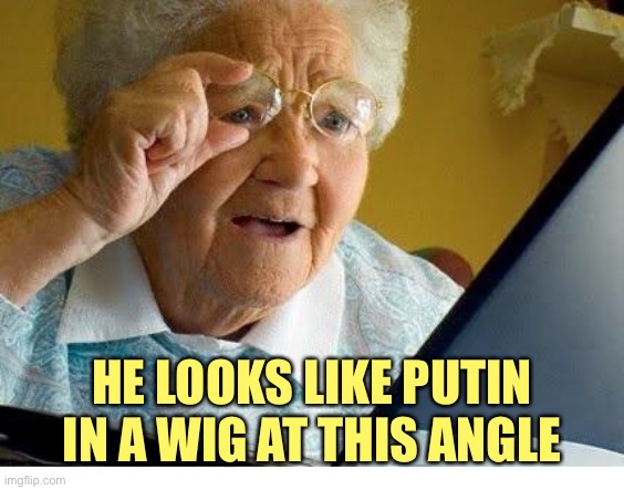 old lady at computer | HE LOOKS LIKE PUTIN IN A WIG AT THIS ANGLE | image tagged in old lady at computer | made w/ Imgflip meme maker