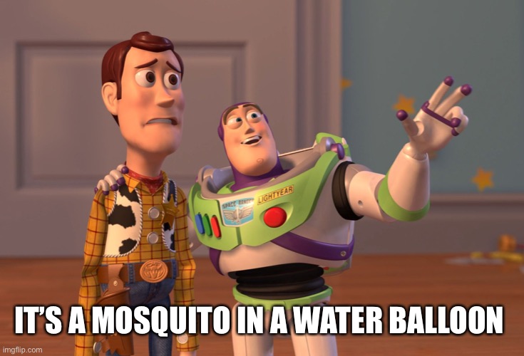 X, X Everywhere Meme | IT’S A MOSQUITO IN A WATER BALLOON | image tagged in memes,x x everywhere | made w/ Imgflip meme maker