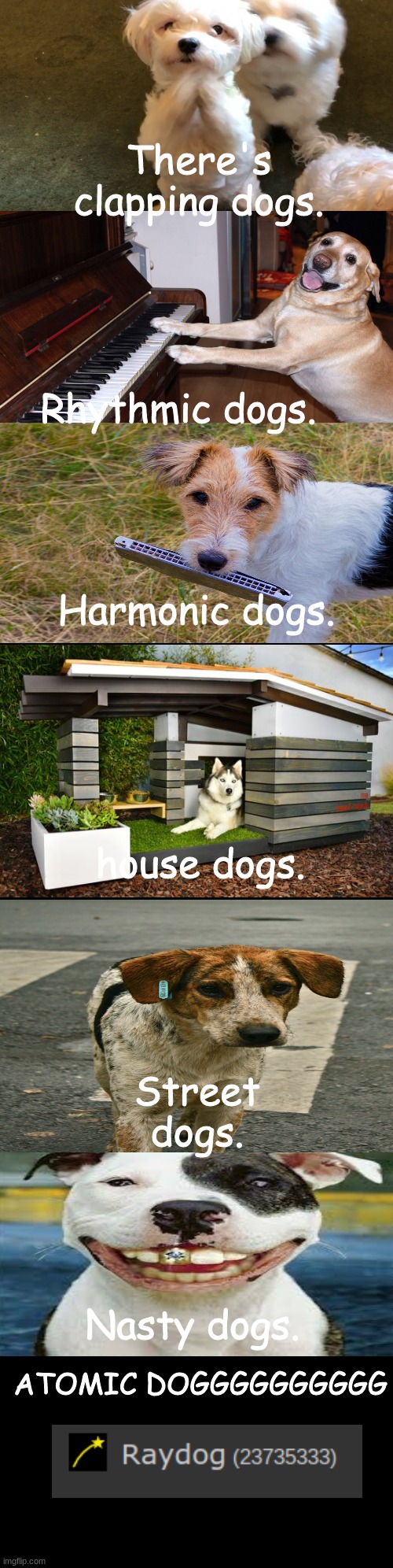 Bow-wow-wow-yippie-yo-yippie-yeah just walkin the dog! | There's clapping dogs. Rhythmic dogs. Harmonic dogs. house dogs. Street dogs. Nasty dogs. ATOMIC DOGGGGGGGGGG | image tagged in double long black template,atomic dog,raydog | made w/ Imgflip meme maker