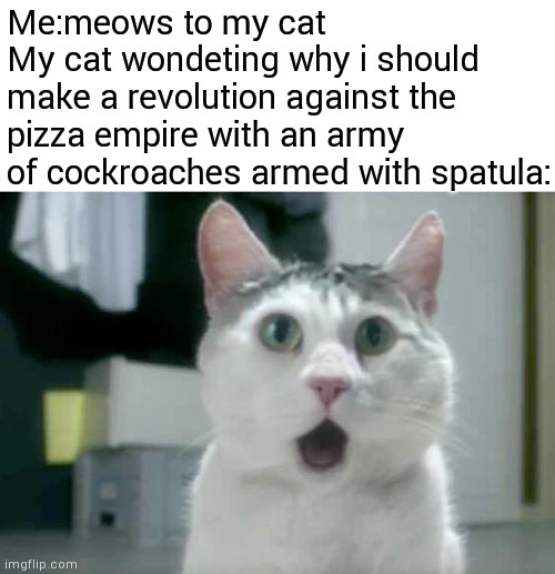 Overthrow the pizza empire |  Me:meows to my cat
My cat wondeting why i should make a revolution against the pizza empire with an army of cockroaches armed with spatula: | image tagged in memes,omg cat,pizza,cat,revolution | made w/ Imgflip meme maker