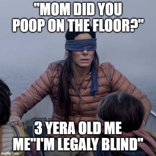 Bird Box | "MOM DID YOU POOP ON THE FLOOR?"; 3 YERA OLD ME ME"I'M LEGALY BLIND" | image tagged in memes,bird box | made w/ Imgflip meme maker