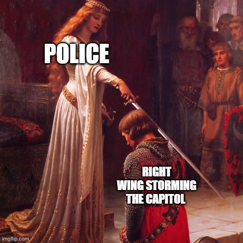 storming the capitol | POLICE; RIGHT WING STORMING THE CAPITOL | image tagged in right wing,racism,capitol,police brutality | made w/ Imgflip meme maker