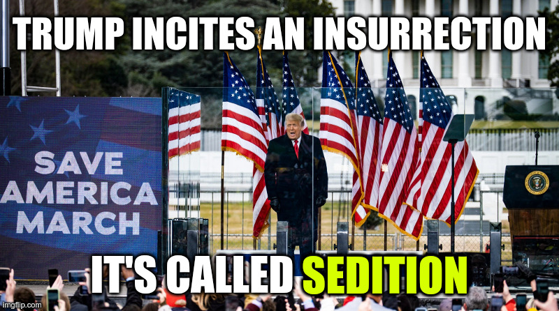 Trump Incites an Insurrection: It's Called Sedition | TRUMP INCITES AN INSURRECTION; IT'S CALLED SEDITION; SEDITION | image tagged in trump,insurrection,sedition,traitor | made w/ Imgflip meme maker