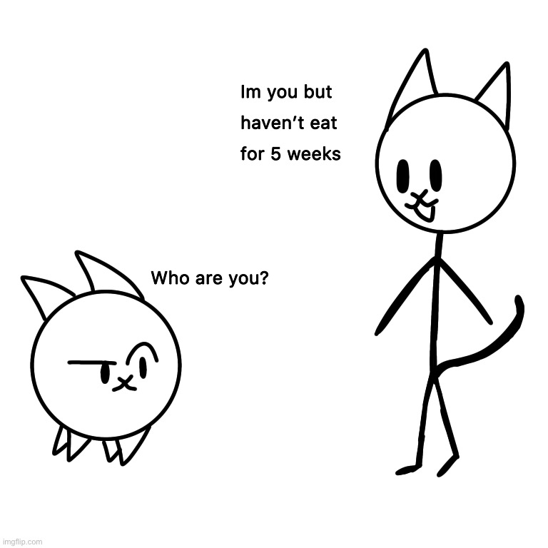 Basic cat: i swear to god he look like me haven’t eat for 5 weeks. Psychocat: *wheezes* (Credits to Bloo for Basic StickCat) | image tagged in oc | made w/ Imgflip meme maker