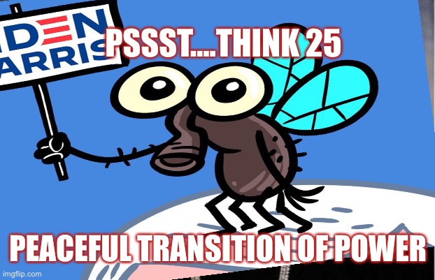 Think 25 | PSSST....THINK 25; PEACEFUL TRANSITION OF POWER | image tagged in mike pence,donald trump,impeach trump | made w/ Imgflip meme maker