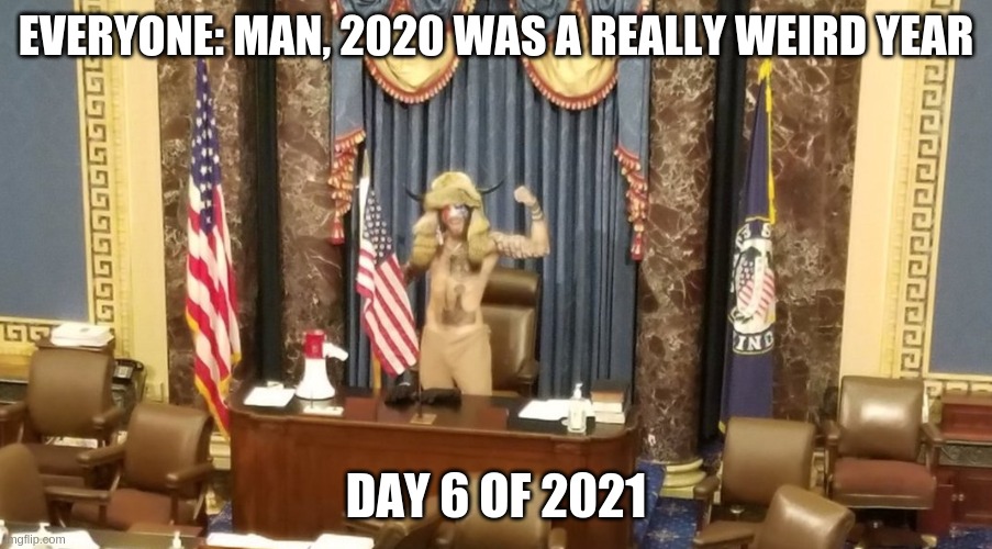 2021 | EVERYONE: MAN, 2020 WAS A REALLY WEIRD YEAR; DAY 6 OF 2021 | image tagged in capitol viking | made w/ Imgflip meme maker