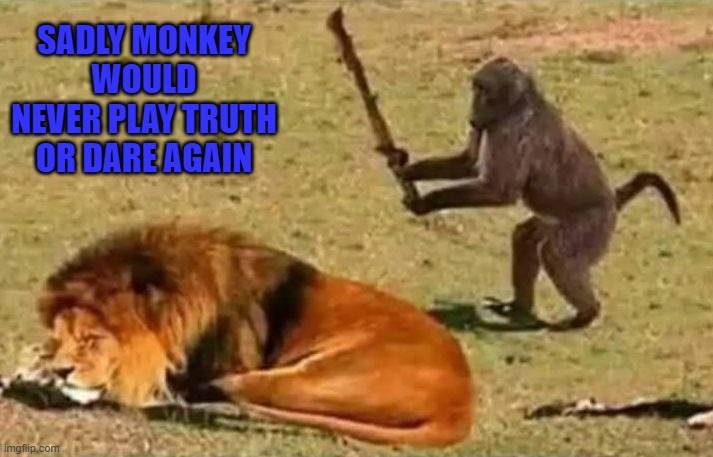 monkeys Memes & GIFs - Imgflip