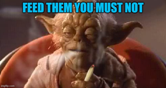 FEED THEM YOU MUST NOT | made w/ Imgflip meme maker