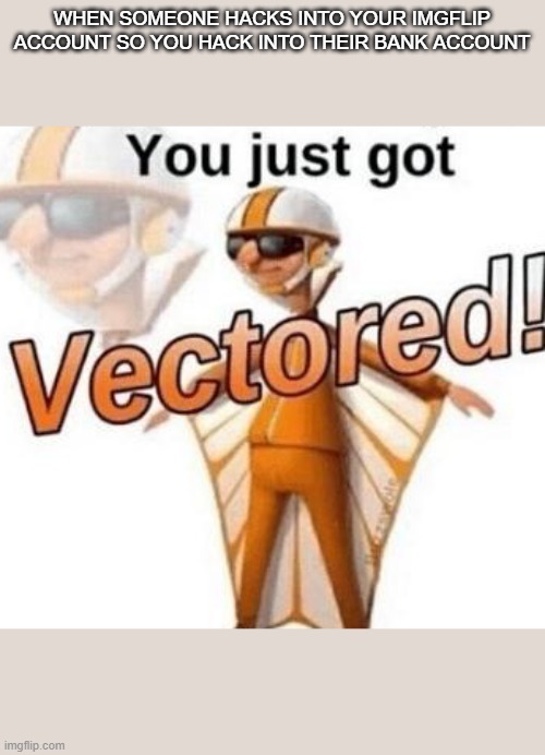 Get vectored, cybercriminal | WHEN SOMEONE HACKS INTO YOUR IMGFLIP ACCOUNT SO YOU HACK INTO THEIR BANK ACCOUNT | image tagged in you just got vectored | made w/ Imgflip meme maker