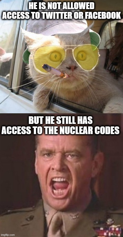 Not mature enough for Twitter. But able to be Commander in Chief? NO, just NO. 25th Amendment now. | HE IS NOT ALLOWED ACCESS TO TWITTER OR FACEBOOK; BUT HE STILL HAS ACCESS TO THE NUCLEAR CODES | image tagged in memes,fear and loathing cat,you can't handle the truth,politics,mental health,lock him up | made w/ Imgflip meme maker