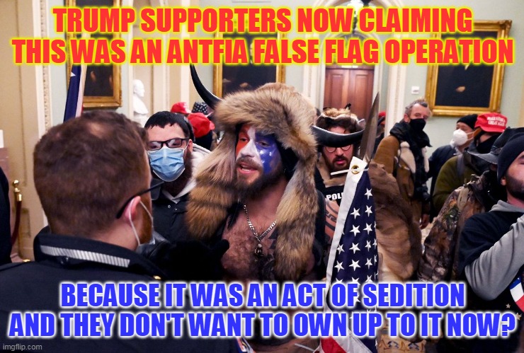 It's always someone else's fault isn't conservatives? | TRUMP SUPPORTERS NOW CLAIMING THIS WAS AN ANTFIA FALSE FLAG OPERATION; BECAUSE IT WAS AN ACT OF SEDITION AND THEY DON'T WANT TO OWN UP TO IT NOW? | image tagged in dc riots,traitors | made w/ Imgflip meme maker