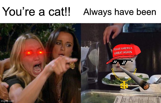 Woman Yelling At Cat | You’re a cat!! Always have been | image tagged in memes,woman yelling at cat | made w/ Imgflip meme maker