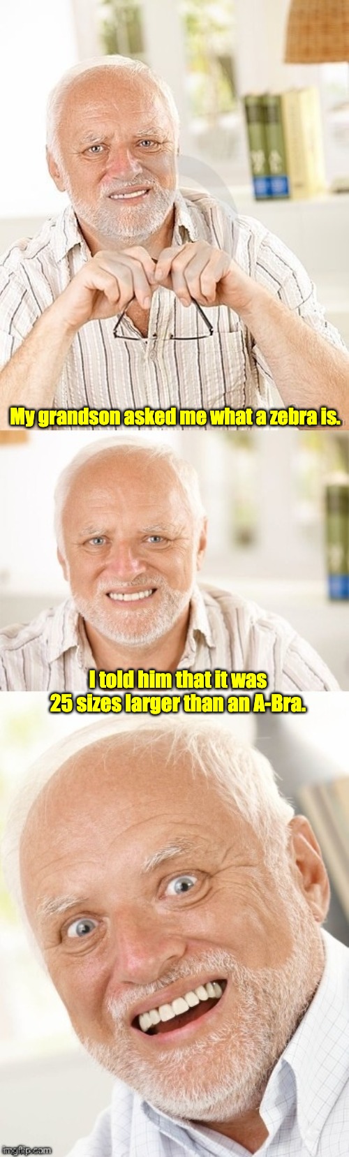 Z-Bra | My grandson asked me what a zebra is. I told him that it was 25 sizes larger than an A-Bra. | image tagged in hide the pun harold | made w/ Imgflip meme maker