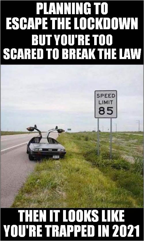 You Can't Do 88 mph ! | PLANNING TO ESCAPE THE LOCKDOWN; BUT YOU'RE TOO SCARED TO BREAK THE LAW; THEN IT LOOKS LIKE YOU'RE TRAPPED IN 2021 | image tagged in fun,back to the future,lockdown,2021 | made w/ Imgflip meme maker