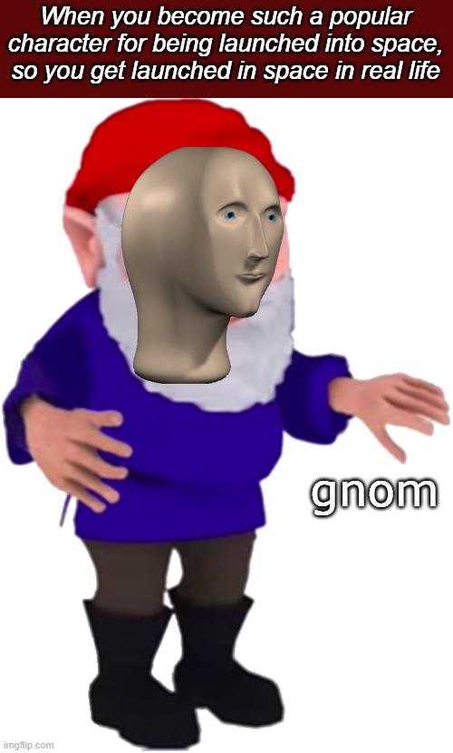 Gnome | When you become such a popular character for being launched into space, so you get launched in space in real life; gnom | image tagged in gnome | made w/ Imgflip meme maker